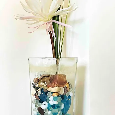 Апартаменты Modern